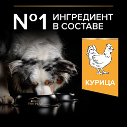 Сухой корм Pro Plan Medium Adult для взрослых собак средних пород, с курицей 18 кг